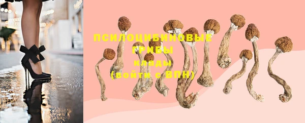 МДПВ Балахна