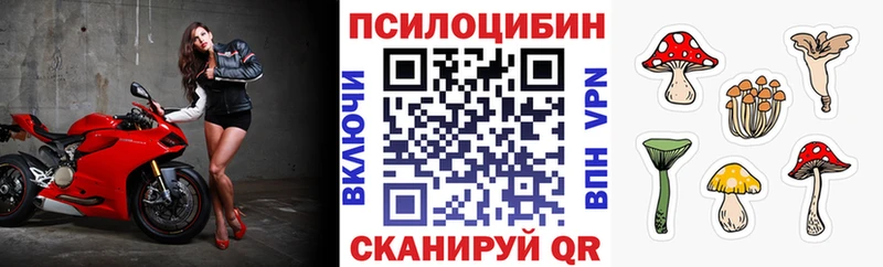 kraken маркетплейс  Омутнинск  Псилоцибиновые грибы Psilocybe 