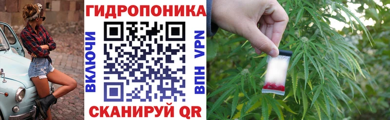 как найти закладки  Омутнинск  мега ТОР  Канабис White Widow 
